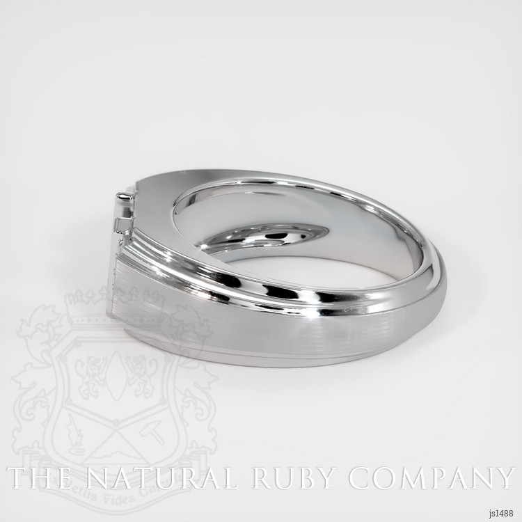 Platinum 950 Men's Ring Setting