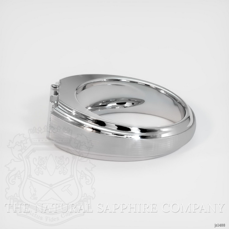 10K White Gold Men's Ring Setting