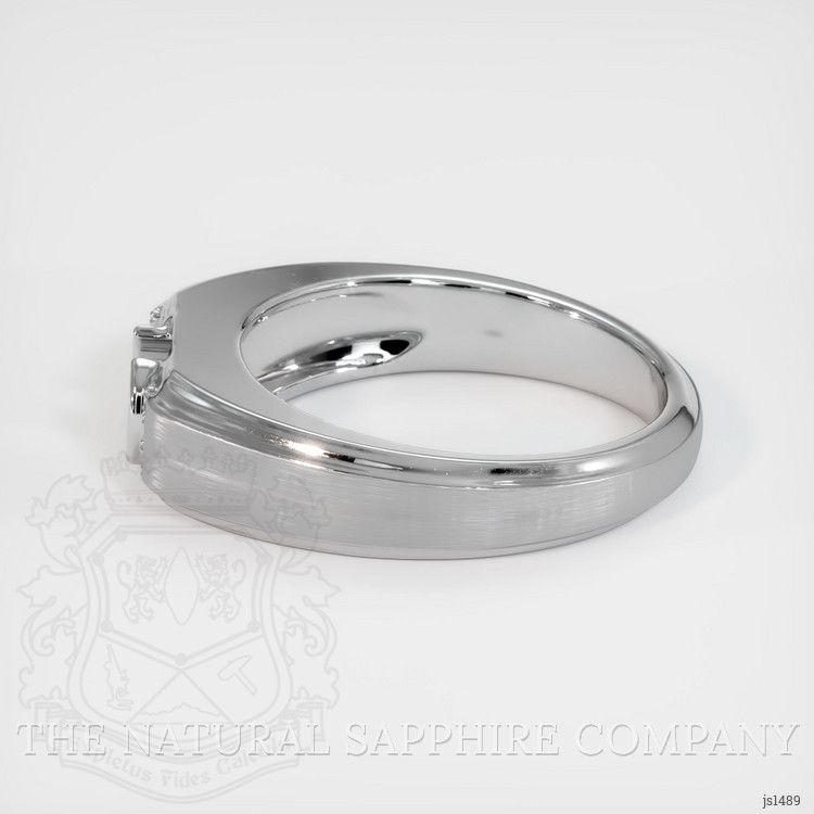14K White Gold Men's Ring Setting