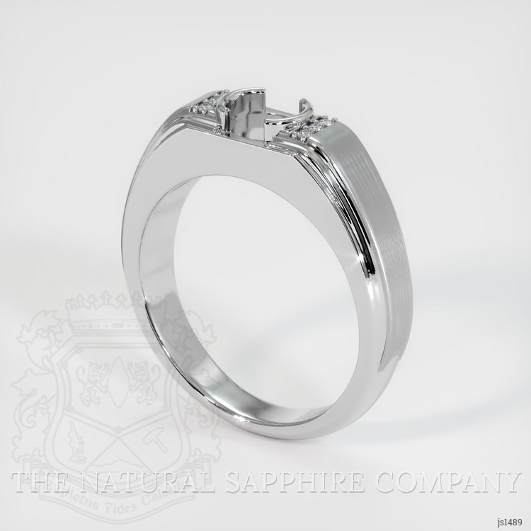 18K White Gold Men's Ring Setting