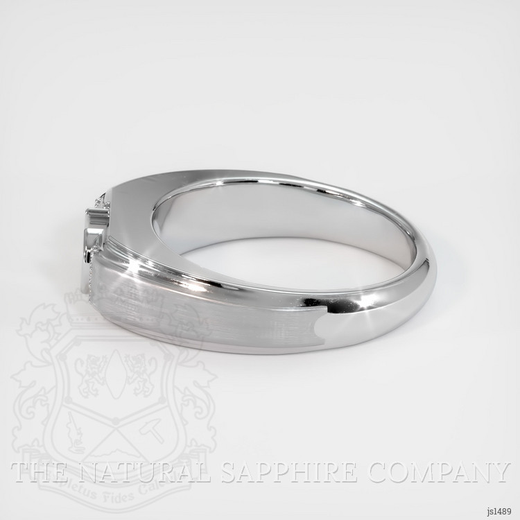 18K White Gold Men's Ring Setting