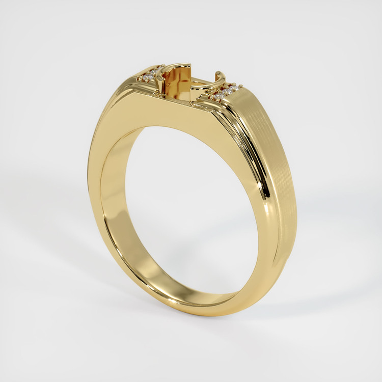 14K Yellow Gold Men's Ring Setting