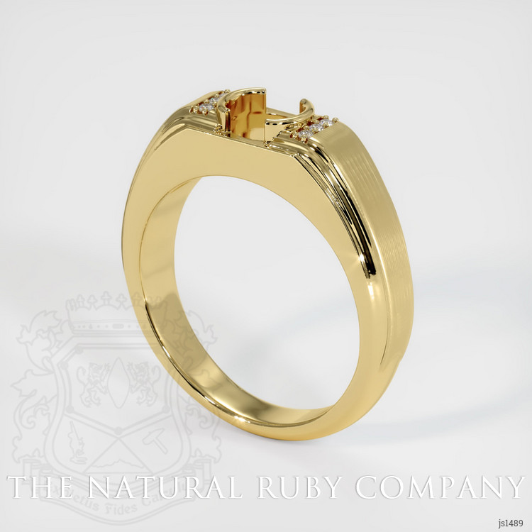 18K Yellow Gold Men's Ring Setting