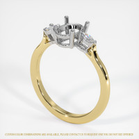14K White & Yellow Three Stone Ring Setting Video