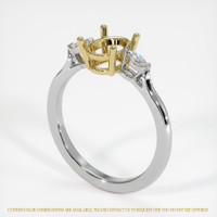 18K Yellow & White Three Stone Ring Setting Video