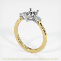 14K White & Yellow Three Stone Ring Setting Video