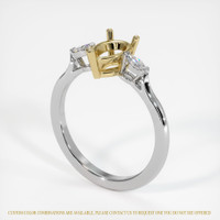 14K Yellow & White Three Stone Ring Setting Video