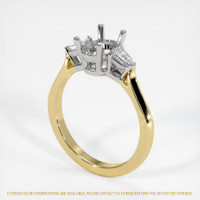 18K White & Yellow Three Stone Ring Setting Video