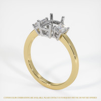 14K White & Yellow Three Stone Ring Setting Video