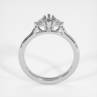 Platinum 950 Three Stone Ring Setting Image