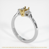 14K Yellow & White Three Stone Ring Setting Video
