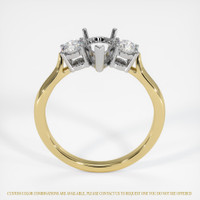 14K White & Yellow Three Stone Ring Setting Image