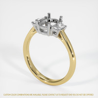 14K White & Yellow Three Stone Ring Setting Video