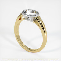 14K White & Yellow Men's Ring Setting Video