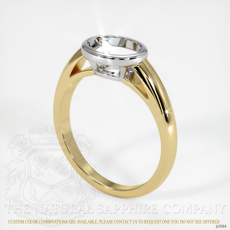 14K White & Yellow Men's Ring Setting