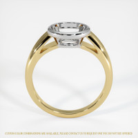 14K White & Yellow Men's Ring Setting Image
