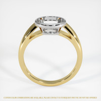 18K White & Yellow Men's Ring Setting Image