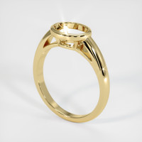 14K Yellow Gold Men's Ring Setting Video