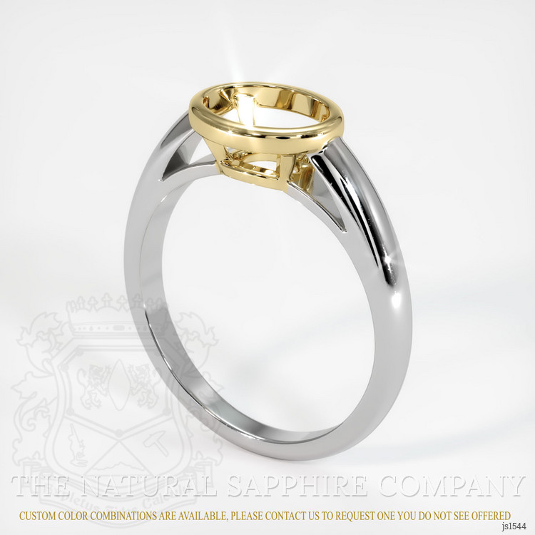 14K Yellow & White Men's Ring Setting