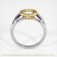 14K Yellow & White Men's Ring Setting Image