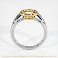 18K Yellow & White Men's Ring Setting Image