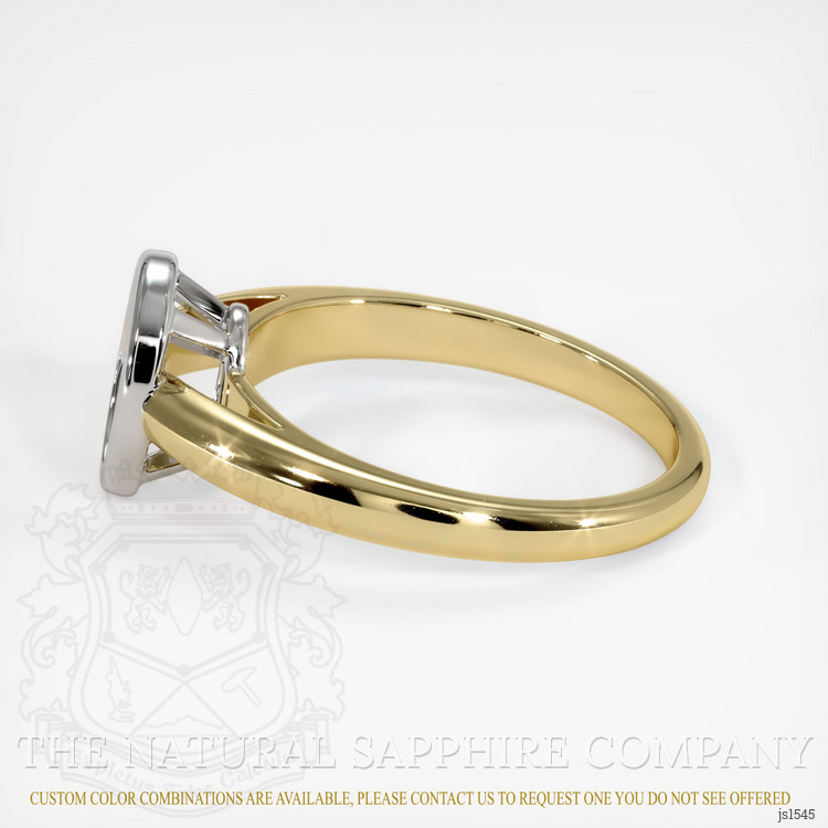 14K White & Yellow Men's Ring Setting