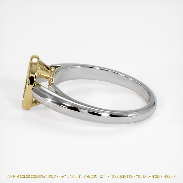 14K Yellow & White Men's Ring Setting