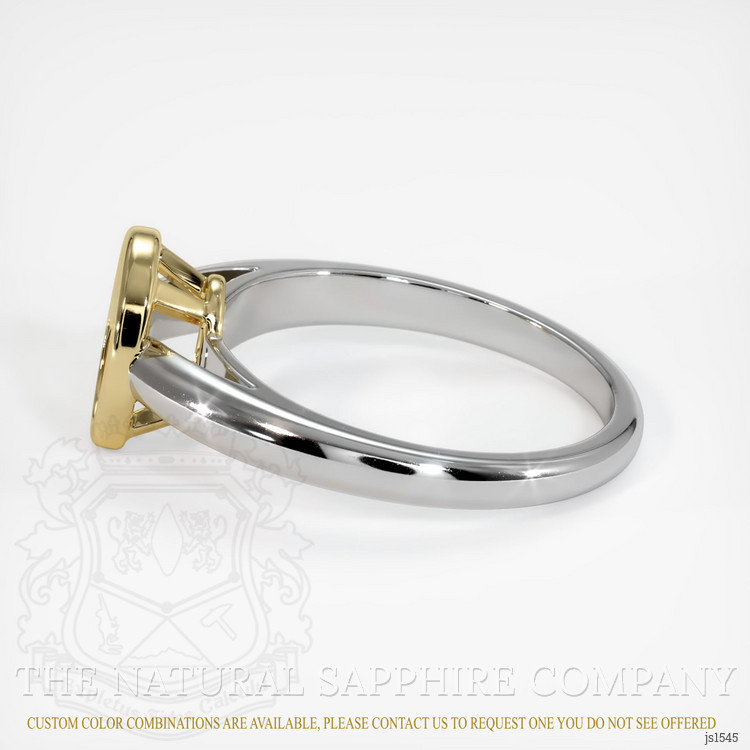 14K Yellow & White Men's Ring Setting