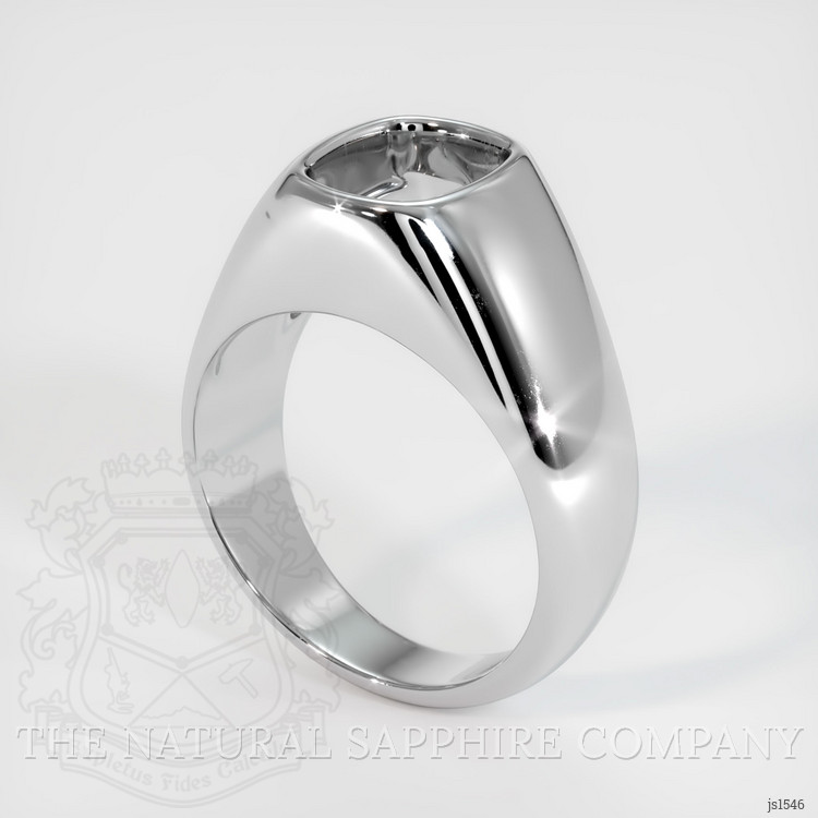 14K White Gold Men's Ring Setting
