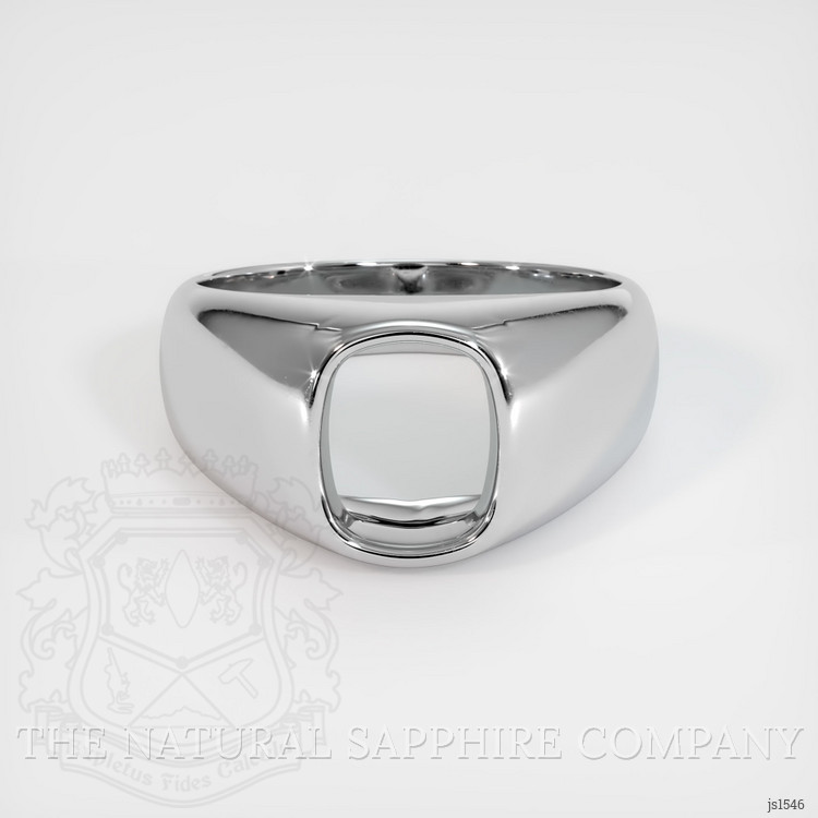 14K White Gold Men's Ring Setting