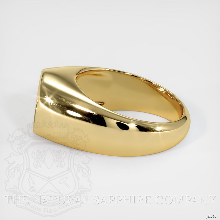 10K Yellow Gold Men's Ring Setting
