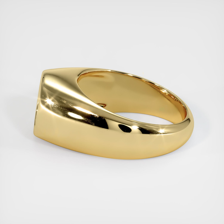 10K Yellow Gold Men's Ring Setting
