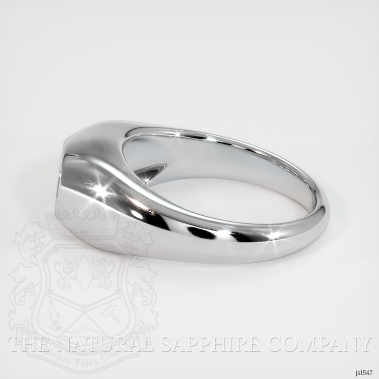18K White Gold Men's Ring Setting