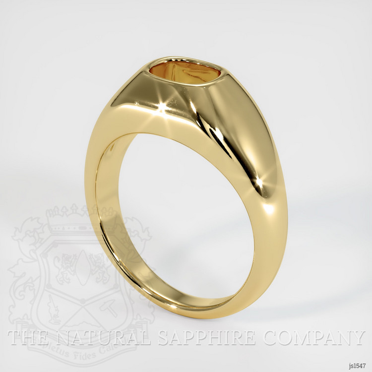 14K Yellow Gold Men's Ring Setting
