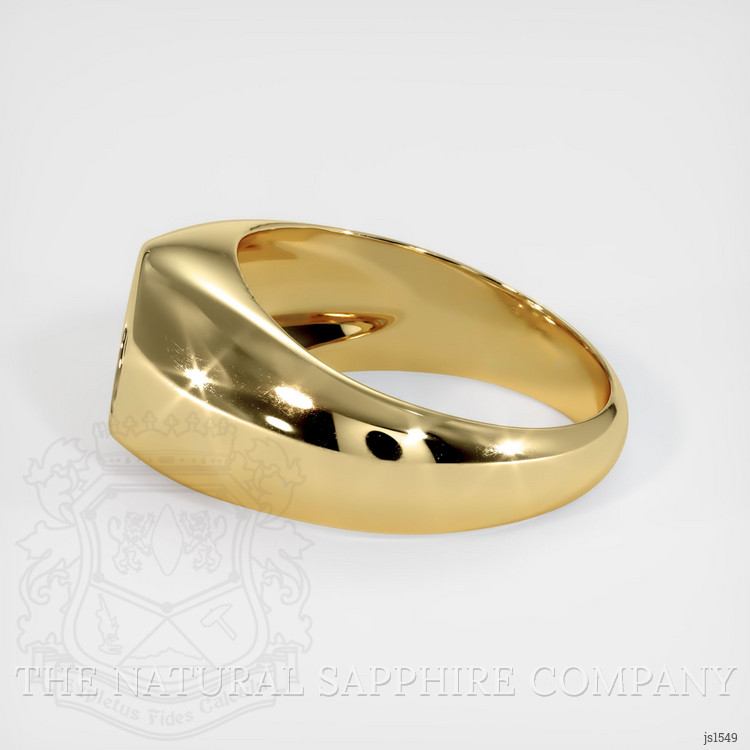 14K Yellow Gold Men's Ring Setting