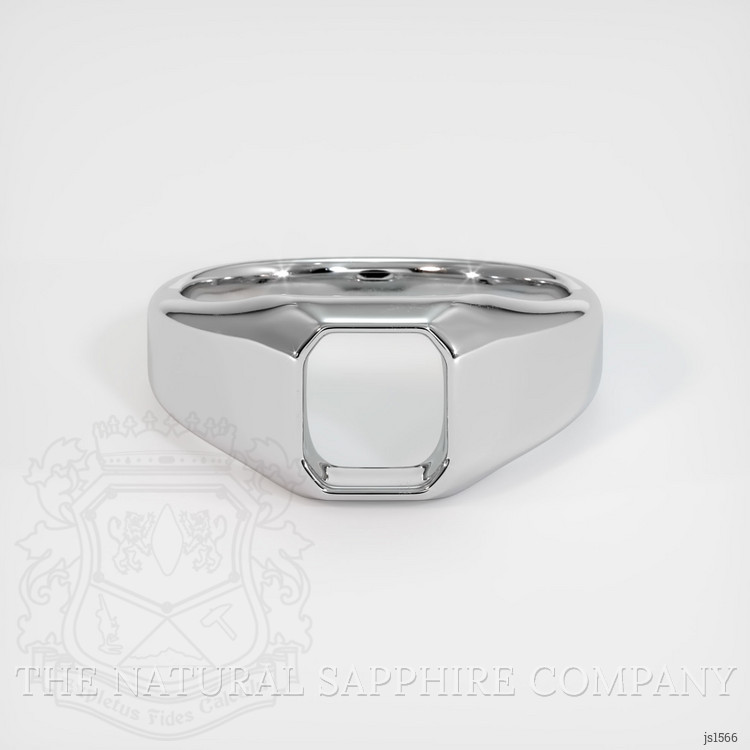 10K White Gold Men's Ring Setting