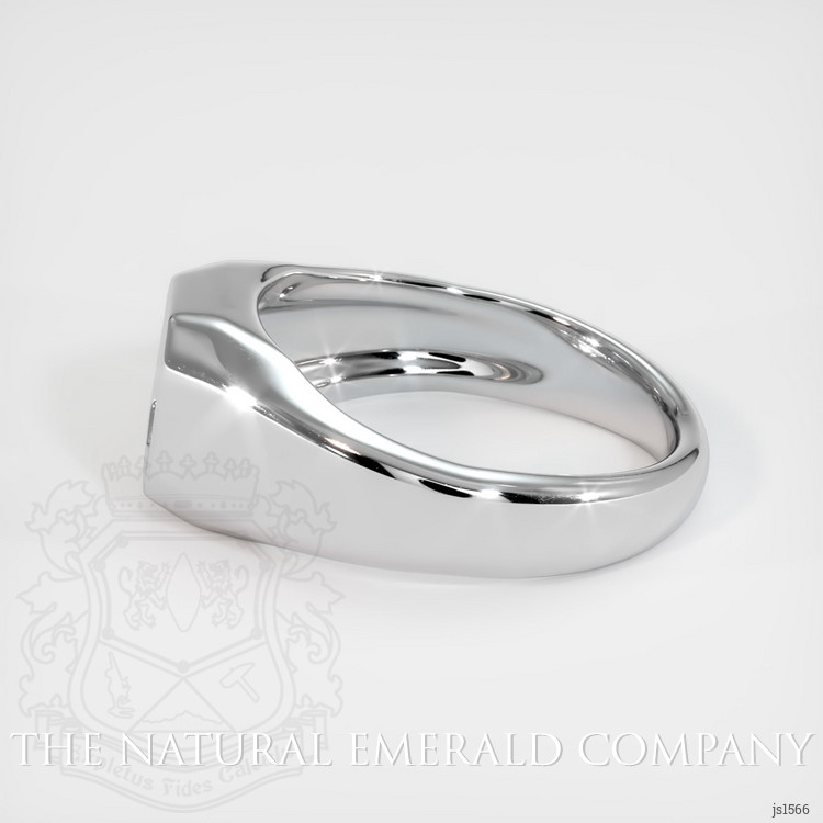 18K White Gold Men's Ring Setting