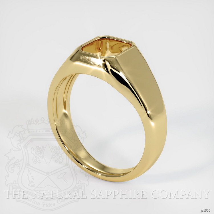 10K Yellow Gold Men's Ring Setting
