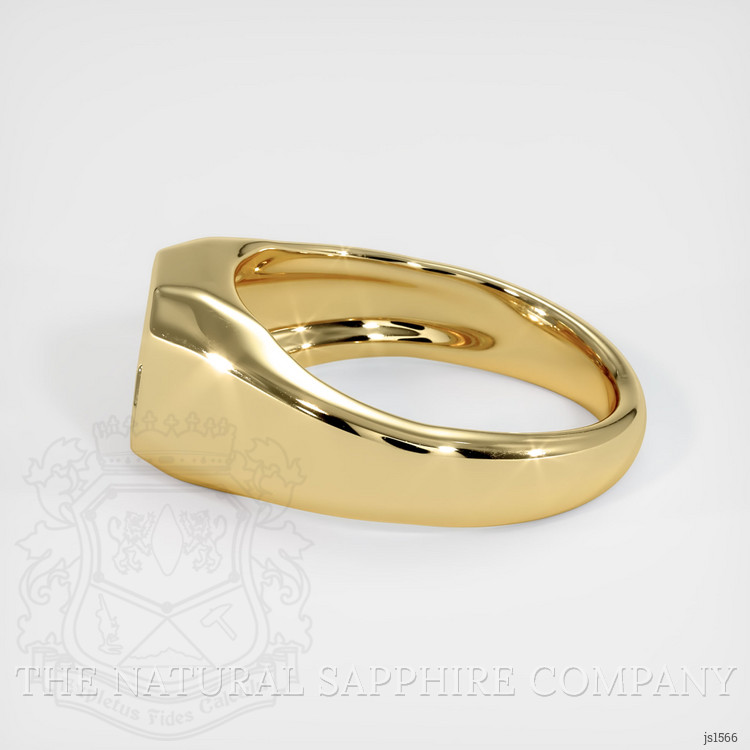 10K Yellow Gold Men's Ring Setting