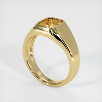 14K Yellow Gold Men's Ring Setting Video