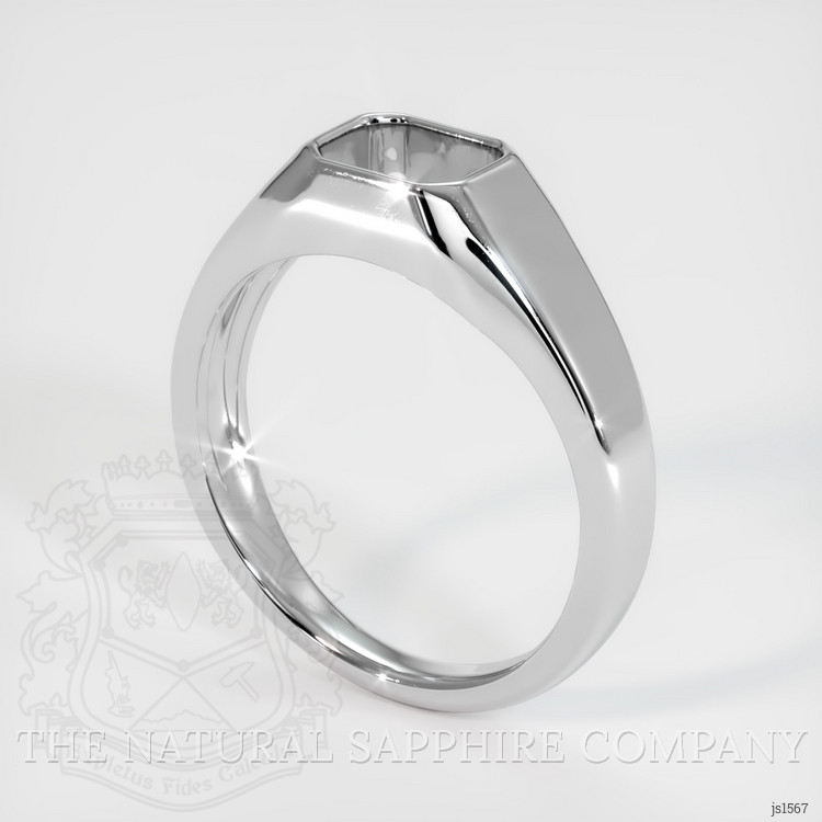 Silver Men's Ring Setting