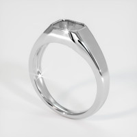 10K White Gold Men's Ring Setting Video