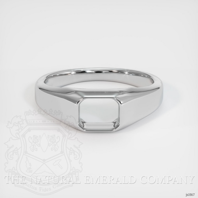 18K White Gold Men's Ring Setting