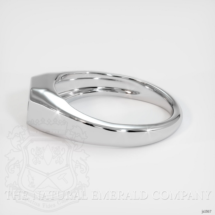 18K White Gold Men's Ring Setting