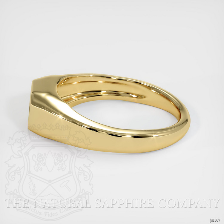 10K Yellow Gold Men's Ring Setting