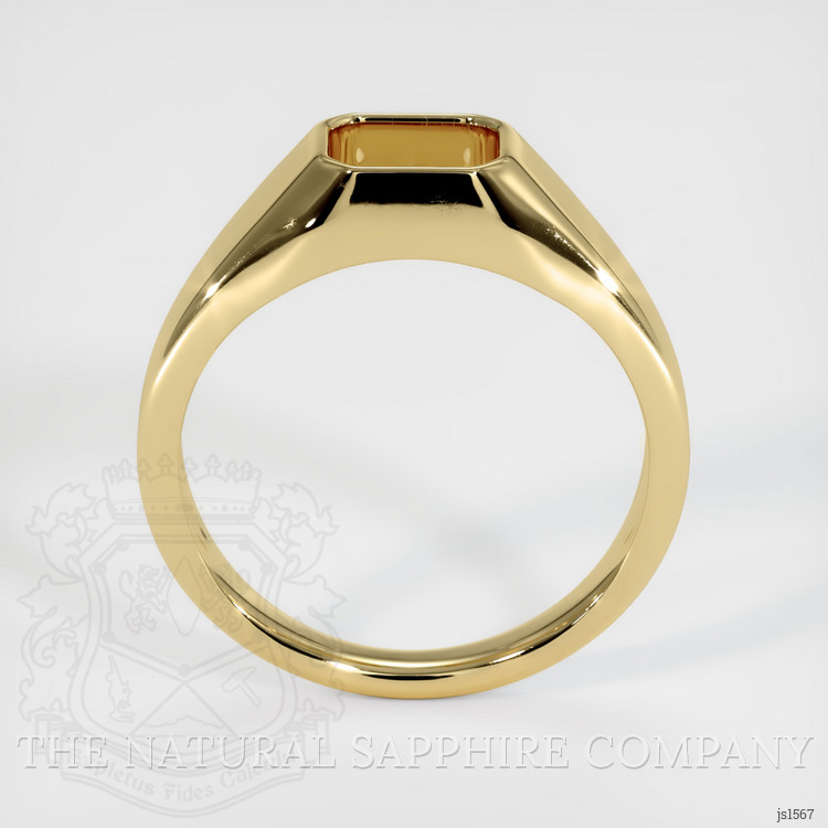 10K Yellow Gold Men's Ring Setting