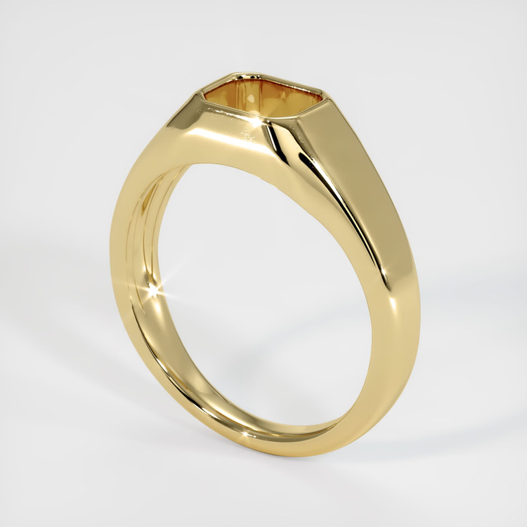 14K Yellow Gold Men's Ring Setting