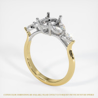 14K White & Yellow Accent Stones Ring Setting Video