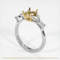 14K Yellow & White Accent Stones Ring Setting Video