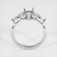 14K White Gold Accent Stones Ring Setting Image